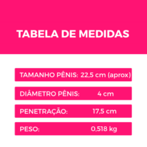 Rody Pênis Realístico com Controle Remoto – Vai e Vem com Rotação – 22,5 x 4,0 cm